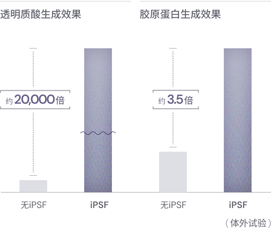 透明质酸产生效果约2万倍，胶原蛋白产生效果约3.5倍。