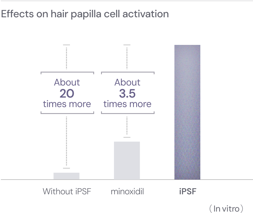 Dermal papilla cell activation effect: approximately 20 times.