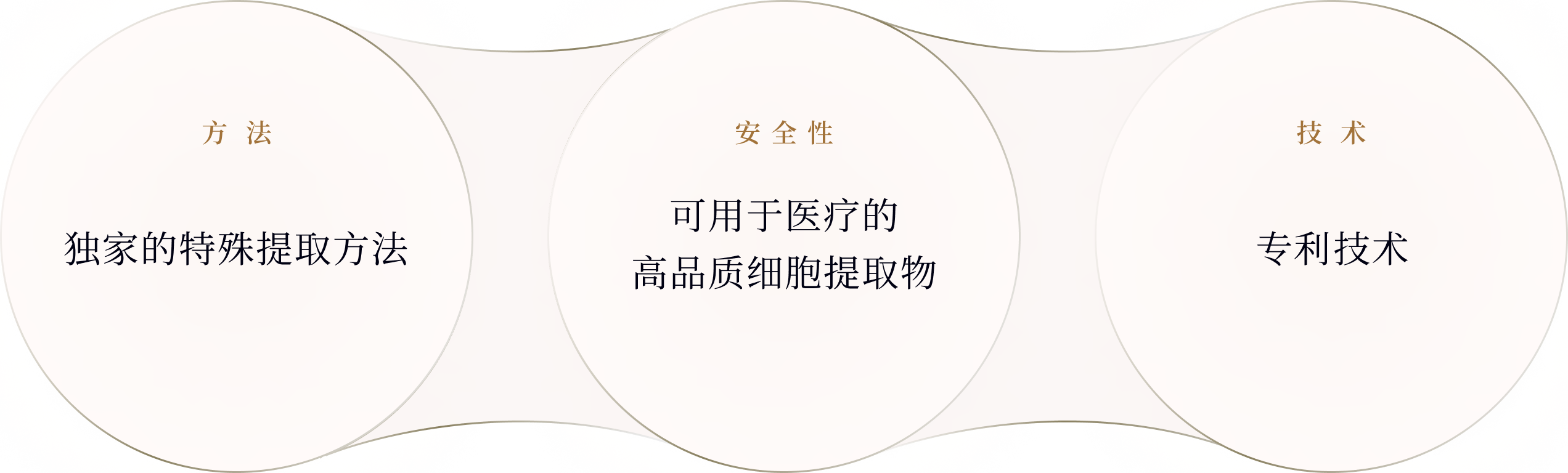 独特的特殊提取方法，适用于医疗用途的高质量细胞，专利技术。