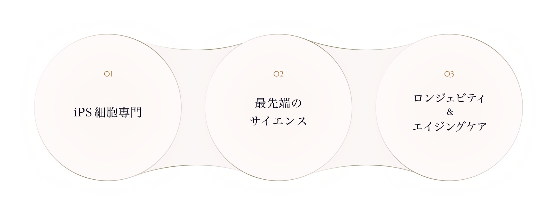01 iPS細胞専門 02 最先端のサイエンス 03 ロンジェビティ＆エイジングケア